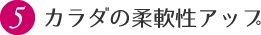 5.カラダの柔軟性アップ