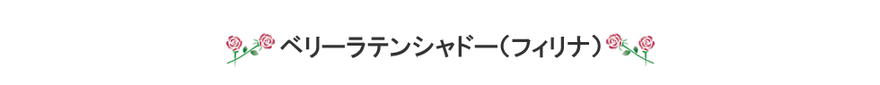 ベリーラテン（フィリナ）